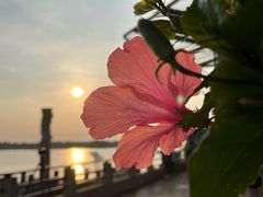-西堤公园