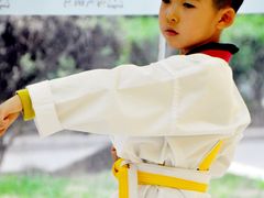 -勇气斑马·巴西柔术&跆拳道(浦东三林店)