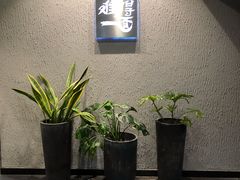 -难得一面