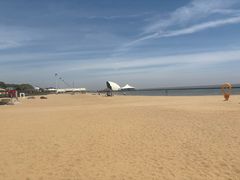 -碧海金沙
