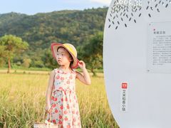 -艾米稻香小镇