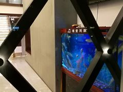-肆月河豚·新淮扬(金融街店)