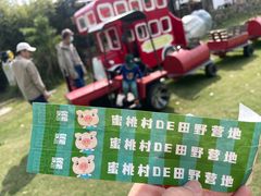 -田园东方蜜桃村的田野营地