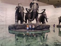 -大庆市博物馆