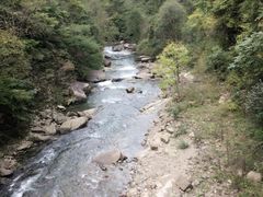 -黎坪国家森林公园