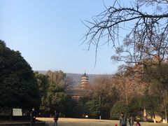 -灵谷景区