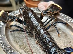 法国布列塔尼蓝龙虾意面-Le Bistrot de Racine