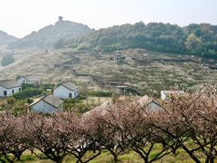 -原乡小镇度假乐园