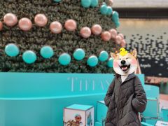-Tiffany&Co.蒂芙尼(南京德基广场店)