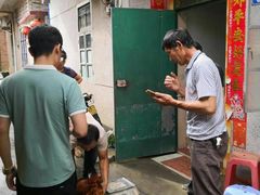 -从化深英荔枝黄皮龙眼采摘园