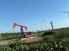 -小李子油焖大虾向阳总店