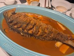 -阿五黄河大鲤鱼(纬三路店)