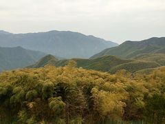 -江南天池