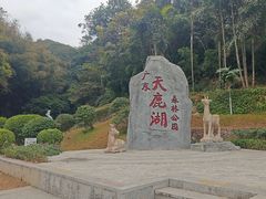 -天鹿湖森林公园
