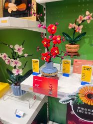 -乐高授权专卖店(济南万象城店)