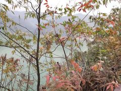 -羚羊峡古栈道森林公园