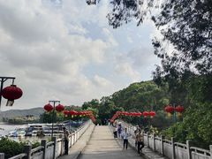 景点-东莞市虎英郊野公园
