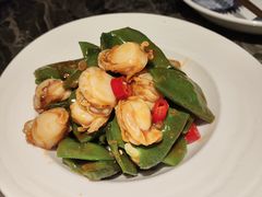 捞汁扇贝-前海沿·青岛菜(乐客城店)