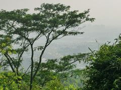 -火炉山森林公园