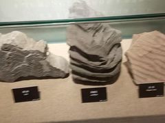 -甘肃地质博物馆