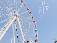 -顾村公园