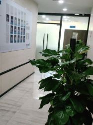-雍禾植发