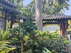 -金花茶公园