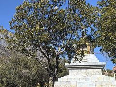 -丽江泸沽湖景区-里格半岛