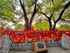 -大槐树寻根祭祖园