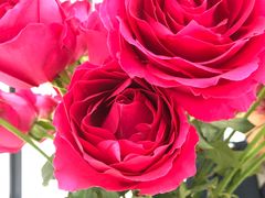 -中国建设银行(佛山祖庙支行)