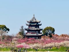 -上海海湾国家森林公园