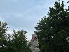 -东湖落雁景区