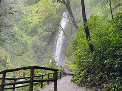 -莫里热带雨林景区