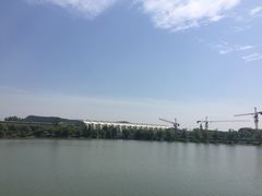 -羊山湖公园