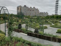-金银湖国家城市湿地公园