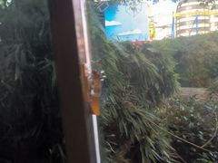 -成都欢乐谷