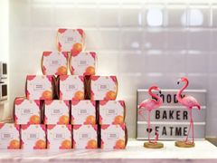 -WOODY BAKER 沃倍可(月星环球港店)