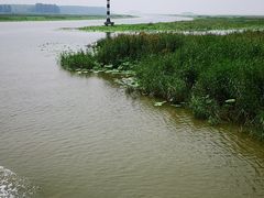 -微山湖红荷湿地景区