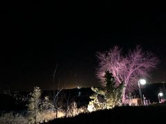 -静之湖湖畔餐厅