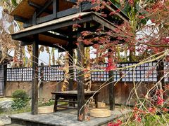 -三圣花乡旅游区