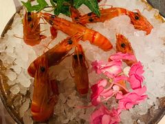 -三利音·东方司宴(外滩店)