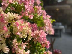 -Juicy Bakery(瑞景店)