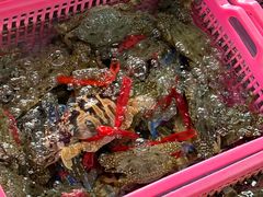 -众味海鲜大排档·活海鲜·潮汕味(南澳店)