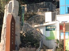 -伴山茶苑·一盏冰茶·半日山居