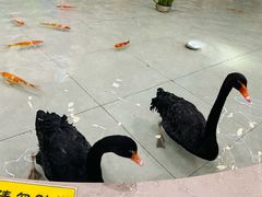 -首创奥特莱斯(北京店)