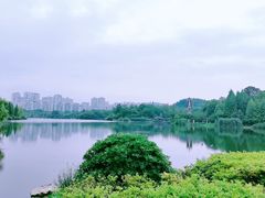 -观山湖公园