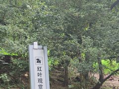 -广州市石门国家森林公园