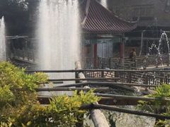 -呀路古热带植物园