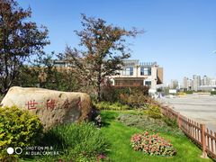 -梅赛德斯奔驰文化中心·停车场