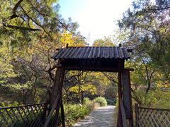 -香山公园